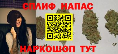 мдпв Рыбинск