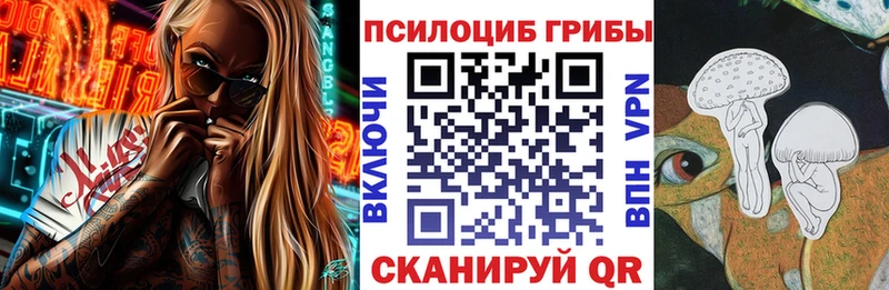как найти наркотики  Чайковский  Галлюциногенные грибы Magic Shrooms 
