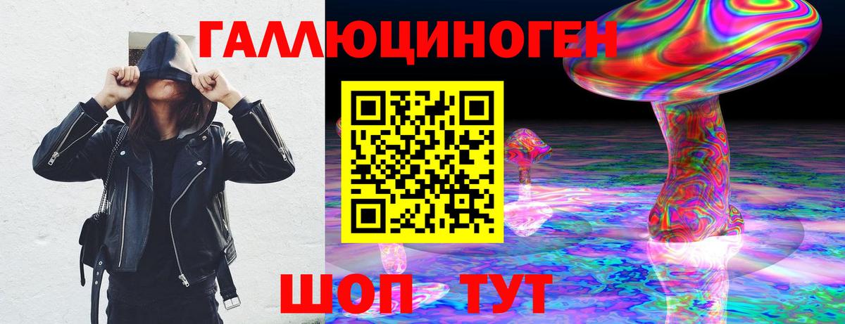 Чайковский  купить  сайты  Вход с VPN  Галлюциногенные грибы Psilocybe 
