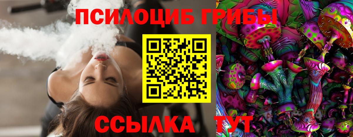 Галлюциногенные грибы Psilocybe Чайковский