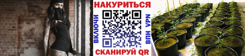 закладка  Чайковский  блэк спрут ссылка  Бошки марихуана марихуана 