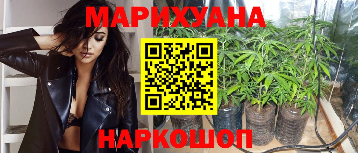 Бошки Шишки OG Kush  Каннабис Ganja  Конопля семена  Канабис планчик  Вход с VPN  Чайковский 